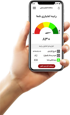 شاخص مدیر عامل و اعتبار واردکنندگان